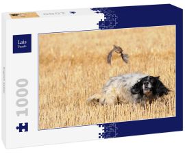 Lais Puzzle - English Setter - 1.000 Teile