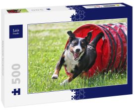 Lais Puzzle - Appenzeller Sennenhund - 500 Teile