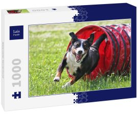 Lais Puzzle - Appenzeller Sennenhund - 1.000 Teile