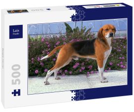 Lais Puzzle - Beagle-Harrier - 500 Teile