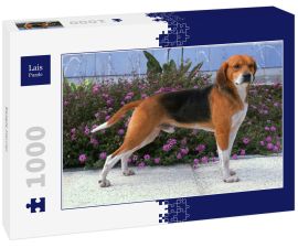 Lais Puzzle - Beagle-Harrier - 1.000 Teile