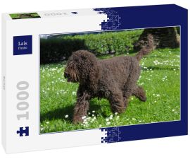 Lais Puzzle - Barbet - 1.000 Teile