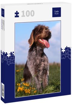 Lais Puzzle - Cesky Fousek - 100 Teile