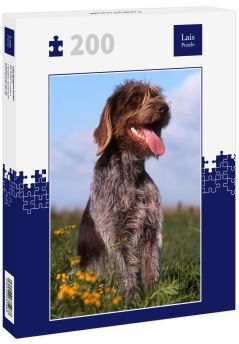 Lais Puzzle - Cesky Fousek - 200 Teile
