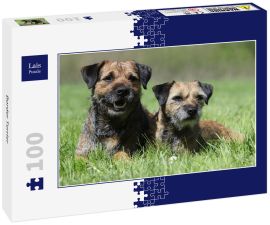 Lais Puzzle - Border Terrier - 100 Teile