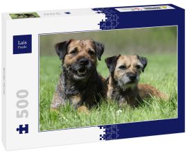 Lais Puzzle - Border Terrier - 500 Teile