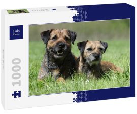 Lais Puzzle - Border Terrier - 1.000 Teile