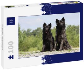 Lais Puzzle - Hollandse Herdershond - 100 Teile