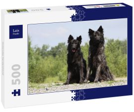 Lais Puzzle - Hollandse Herdershond - 500 Teile