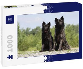 Lais Puzzle - Hollandse Herdershond - 1.000 Teile