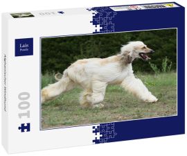 Lais Puzzle - Afghanischer Windhund - 100 Teile