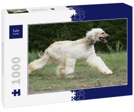 Lais Puzzle - Afghanischer Windhund - 1.000 Teile