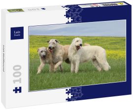 Lais Puzzle - Irish Wolfhound - 100 Teile