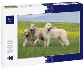 Lais Puzzle - Irish Wolfhound - 500 Teile
