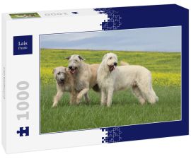 Lais Puzzle - Irish Wolfhound - 1.000 Teile
