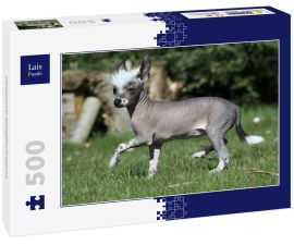 Lais Puzzle - Chinesischer Schopfhund haarlos - 500 Teile