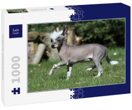 Lais Puzzle - Chinesischer Schopfhund haarlos - 1.000 Teile
