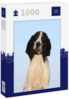 Lais Puzzle - Berner Laufhund - 1.000 Teile