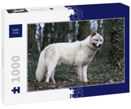 Lais Puzzle - Grönlandhund - 1.000 Teile