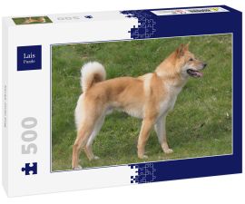 Lais Puzzle - Korea Jindo Dog - 500 Teile