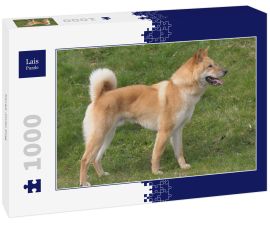 Lais Puzzle - Korea Jindo Dog - 1.000 Teile