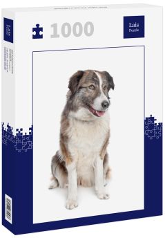 Lais Puzzle - Aidi oder Atlasberghund - 1.000 Teile
