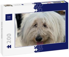 Lais Puzzle - Gos d´Atura Catala - 200 Teile