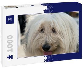 Lais Puzzle - Gos d´Atura Catala - 1.000 Teile