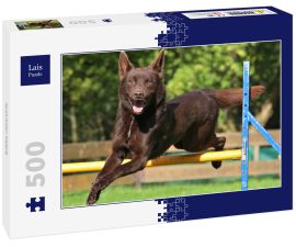 Lais Puzzle - Australian Kelpie - 500 Teile