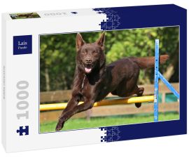 Lais Puzzle - Australian Kelpie - 1.000 Teile