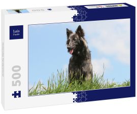 Lais Puzzle - Hollandse Herdershond - 500 Teile