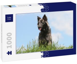 Lais Puzzle - Hollandse Herdershond - 1.000 Teile