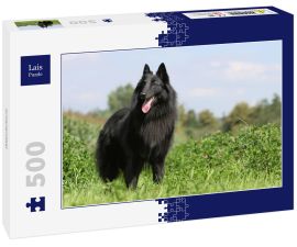 Lais Puzzle - Groenendael - 500 Teile