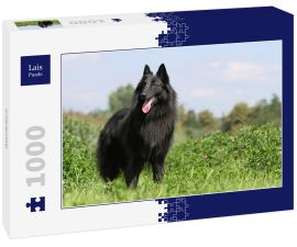 Lais Puzzle - Groenendael - 1.000 Teile