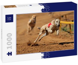 Lais Puzzle - Greyhounds - 1.000 Teile