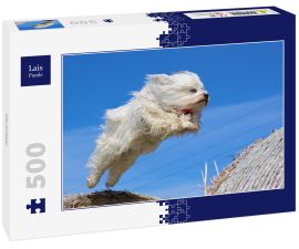 Lais Puzzle - Havaneser - 500 Teile