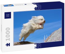 Lais Puzzle - Havaneser - 1.000 Teile