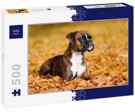 Lais Puzzle - Boxer - 500 Teile