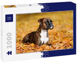 Lais Puzzle - Boxer - 1.000 Teile