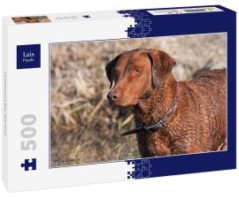 Lais Puzzle - Chesapeake Bay Retriever - 500 Teile