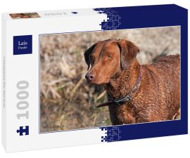 Lais Puzzle - Chesapeake Bay Retriever - 1.000 Teile
