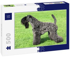 Lais Puzzle - Kerry Blue Terrier - 500 Teile