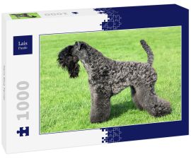 Lais Puzzle - Kerry Blue Terrier - 1.000 Teile