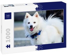 Lais Puzzle - Japan Spitz - 1.000 Teile