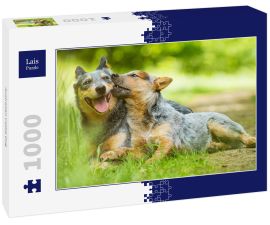 Lais Puzzle - Australian Cattle Dog - 1.000 Teile