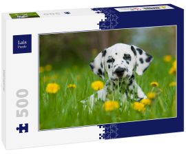Lais Puzzle - Dalmatiner - 500 Teile