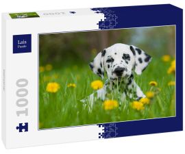 Lais Puzzle - Dalmatiner - 1.000 Teile