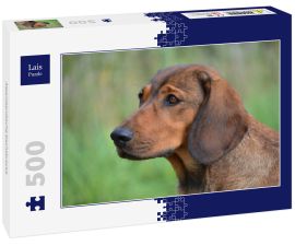 Lais Puzzle - Alpenlaendische Dachsbracke - 500 Teile