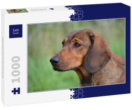 Lais Puzzle - Alpenlaendische Dachsbracke - 1.000 Teile