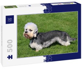 Lais Puzzle - Dandie Dinmont Terrier - 500 Teile